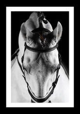 In The Shadows 1 of 2 - EQUESTRIAN CANVAS WALL ART